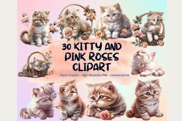 Download 30 Kitty and Pink Roses - Roses Collection