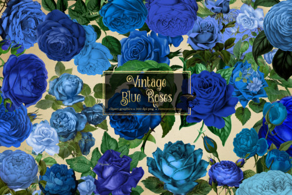 Download Vintage Blue Roses Clipart - Roses Collection