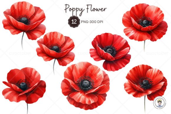 Download Watercolor Red Poppy Flower Clipart - Poppy flower Collection