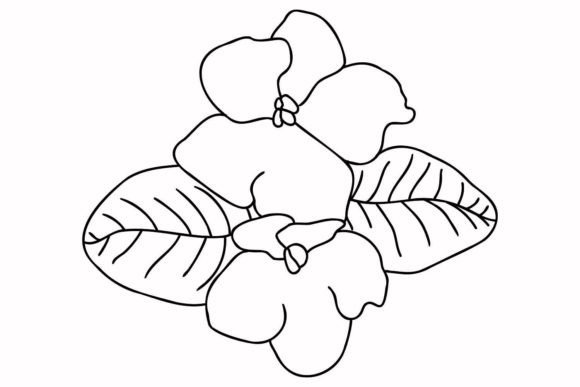 Download Violets - Violets Collection