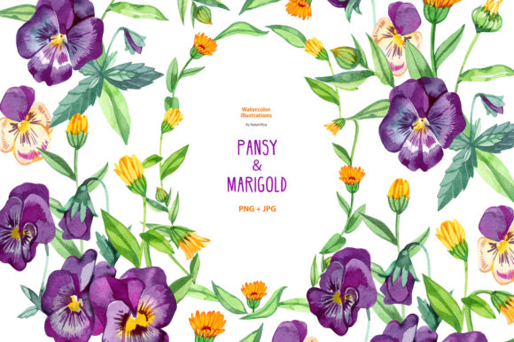 Download Watercolor Pansy and Marigold. - Pansy Collection