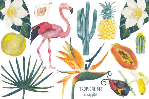 Download Tropical Hand Painted Clipart Gouache - Paint Collection