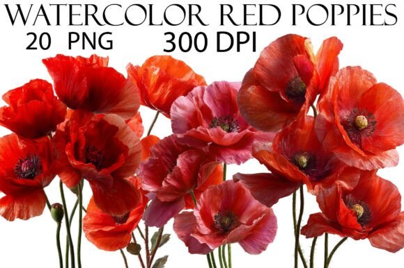 Download Watercolor Red Poppies Clipart - Poppies clipart Collection