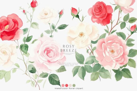 Download Vintage Roses Floral Clipart Set - Roses Collection