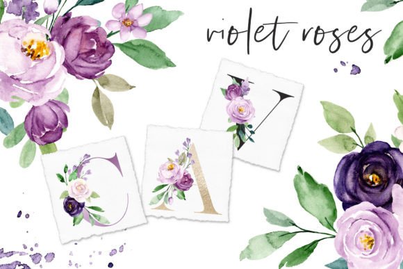 Download Watercolor Violet Flowers Roses - Roses Collection