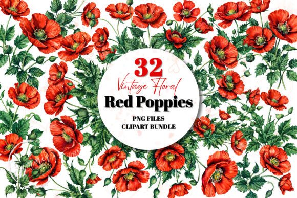 Download Vintage Red Poppies Clipart Bundle - Poppies clipart Collection