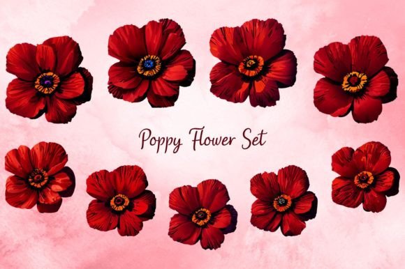 Download Poppy Flower Set - Poppy flower Collection