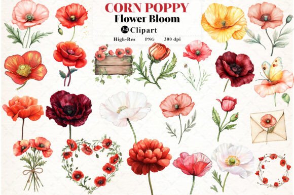 Download Corn Poppy Flower Bloom Clipart - Premium Resources