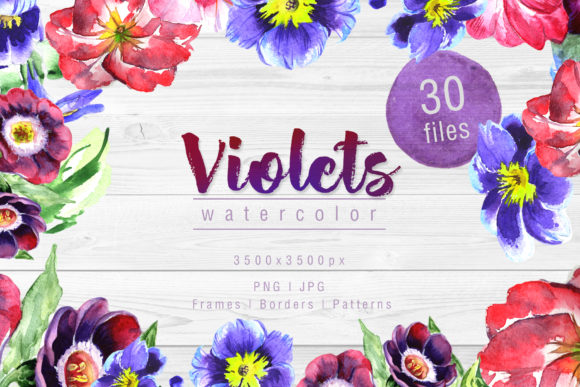 Download Cool Violets Watercolor Flower Set - Violets Collection
