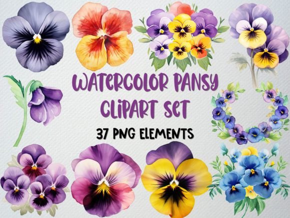 Download Watercolor Pansy Clipart, Flower Png - Premium Resources