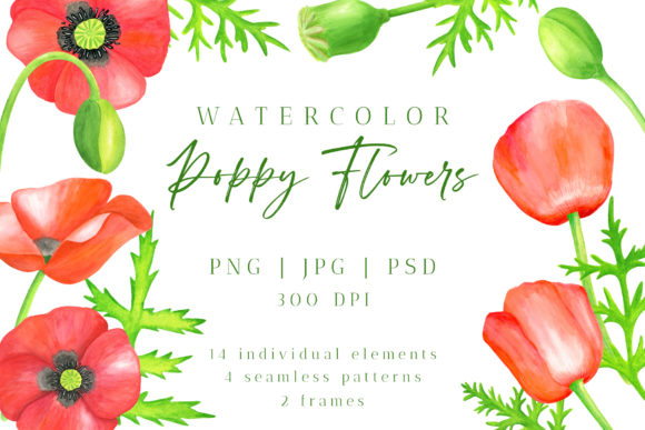 Download Red Poppy Flower Watercolor PNG Cliparts - Poppy flower Collection