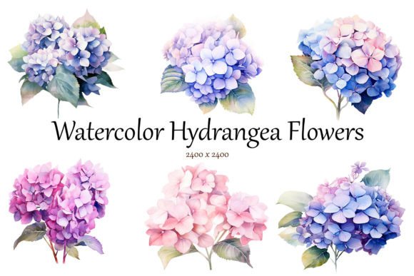 Download Watercolor Hydrangea Flowers Clipart - Premium Bundle