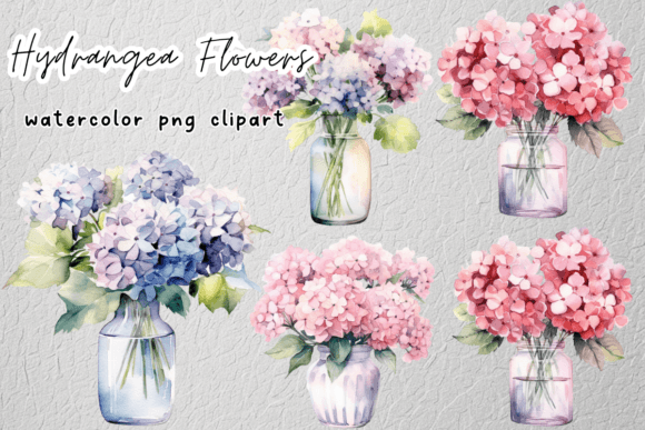 Download Hydrangea Flowers Watercolor Clipart - Premium Resources