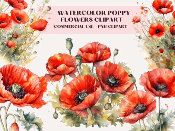 Download Watercolor Poppies Clipart - Poppies clipart Collection