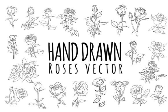 Download Line Hand Drawn Roses Flower - Roses Collection